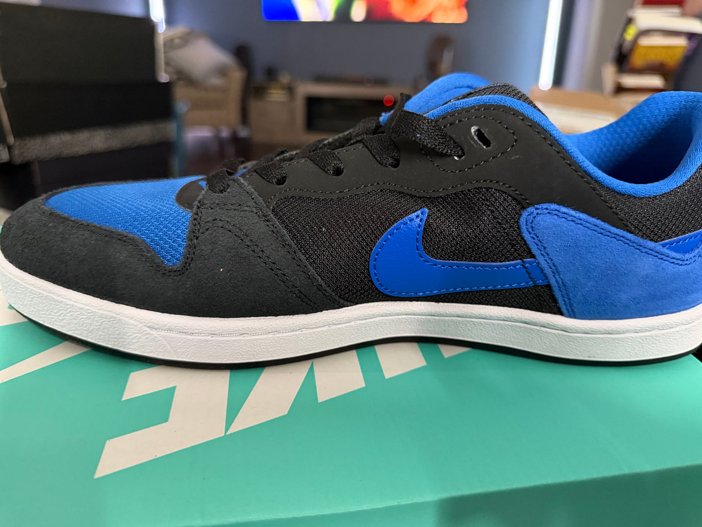 Nike SB Alleyoops-NIB-Size 11