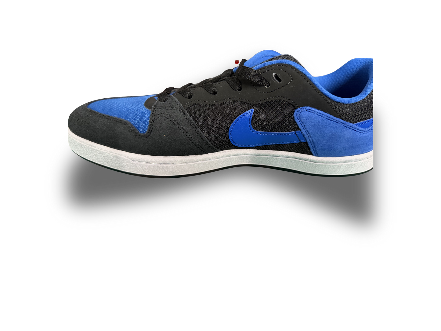 Nike SB Alleyoops-NIB-Size 11