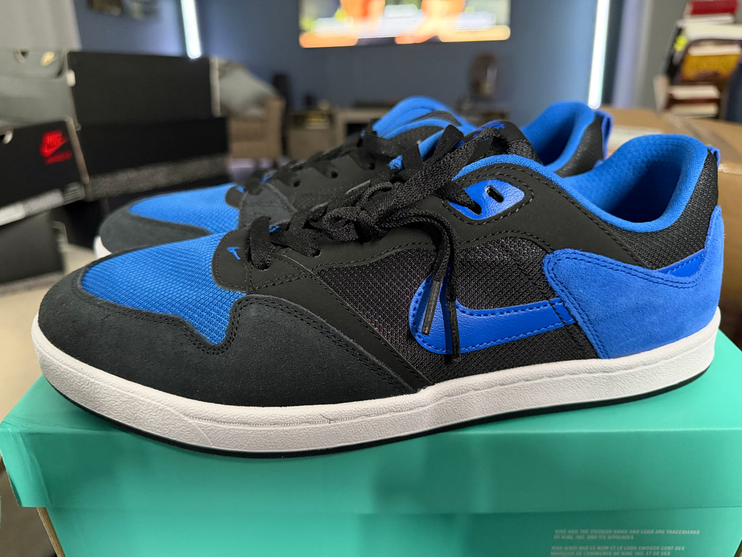 Nike SB Alleyoops-NIB-Size 11